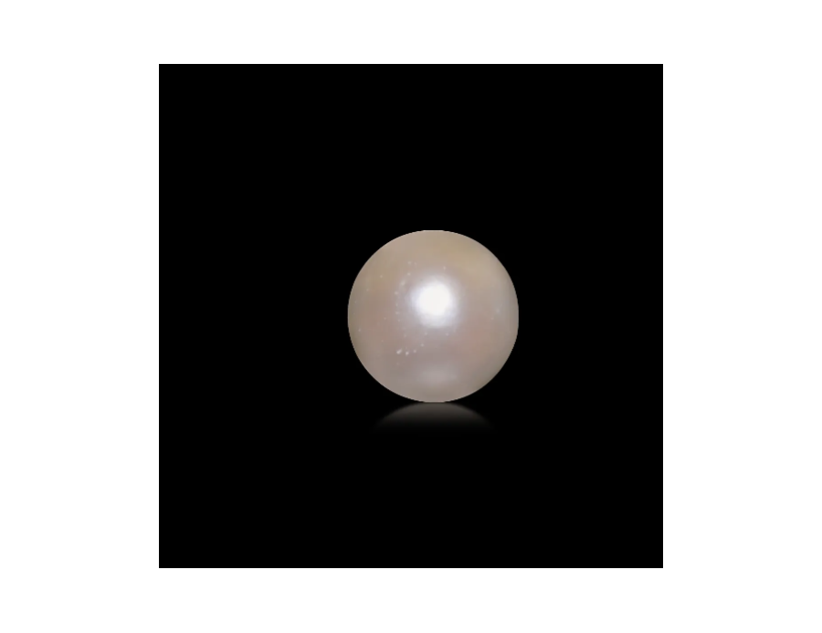 South-Sea Pearl 5.54ct.@400 per. ct. (Super Premium)