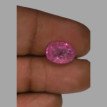 Burma Ruby 5.50 ct.@ 45000 per.ct. (Super Luxury ) Burma Ruby 5.50 ct.@ 45000 per.ct. (Super Luxury )