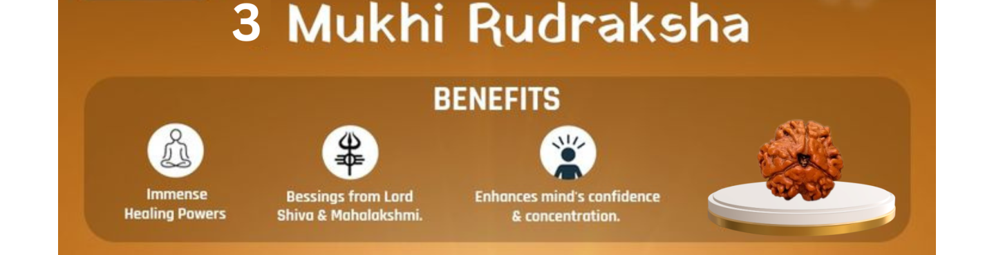 3 Mukhi Rudraksha