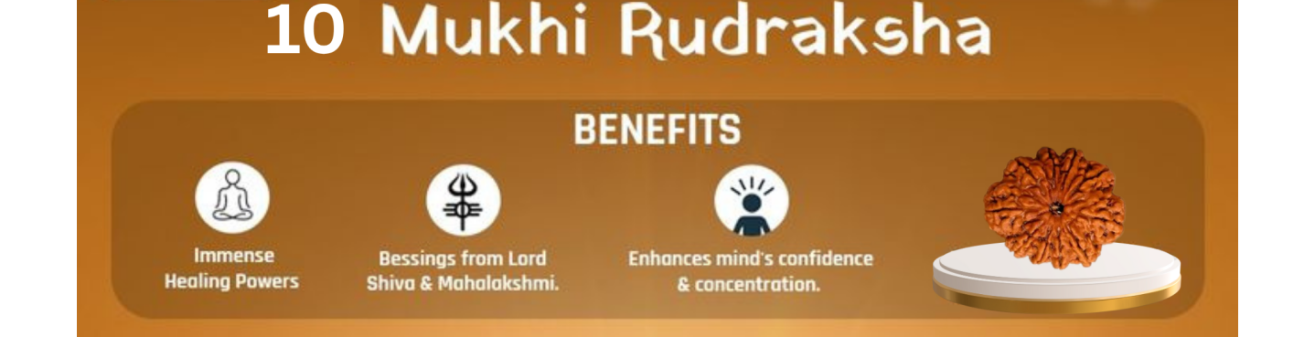 10 Mukhi Rudraksha