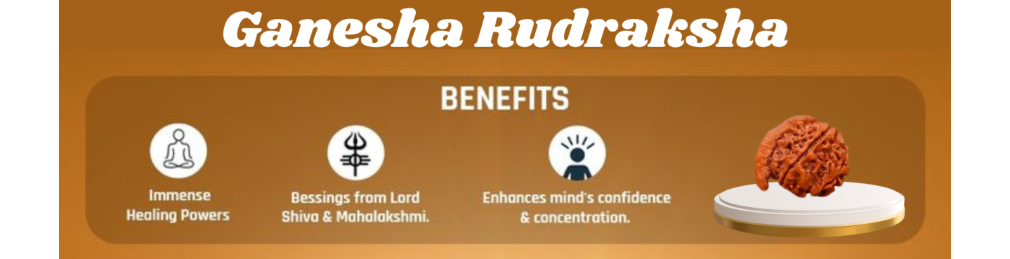 Ganesha Rudraksha