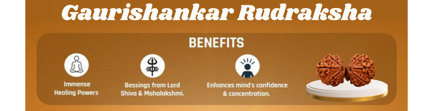 Gauri Shankar Rudraksha